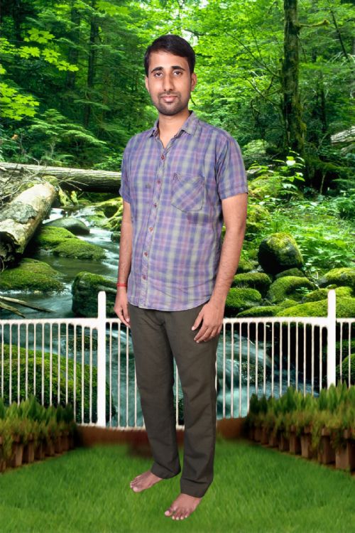 Indian Matrimonial Profile : Shankar_Prakash_Udayakumar 36year Software Developer  from India